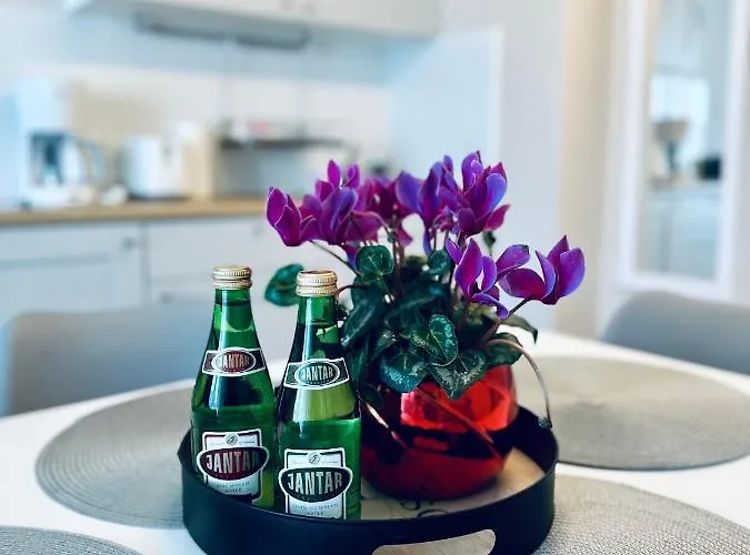 Al-Dom Apartamenty Maczka 5 W Spokojnej Okolicy